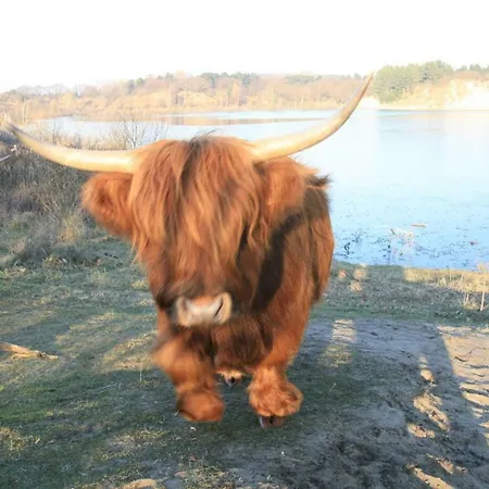 Apartmán Perfect Holiday, Sea View