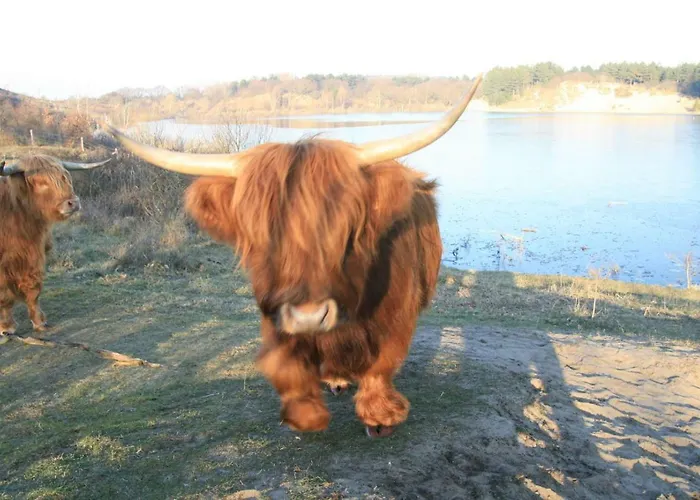 Daire Perfect Holiday, Sea View