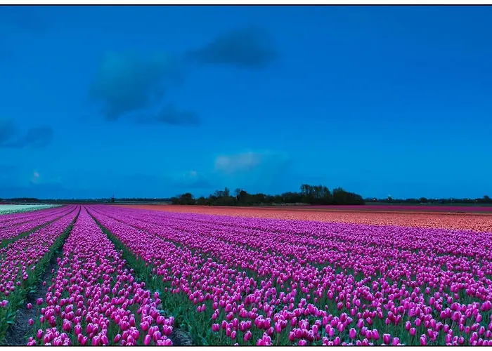 Perfect Holiday, Sea View * 에크몬드안지